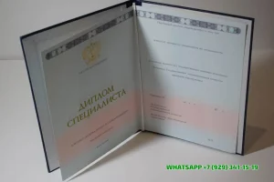 Купить диплом в Сызрани Волгодонского Филиала Южного федерального университета